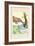 Poor Guinea Pig-Frances Beem-Framed Art Print