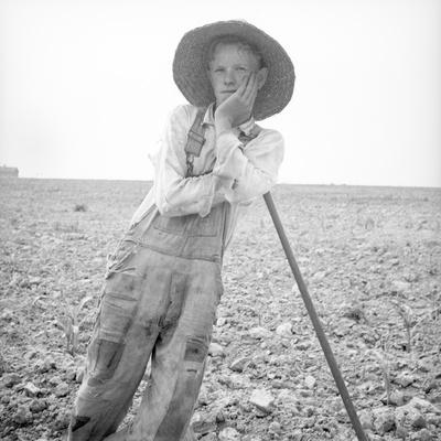 Poor White North Carolina 1936 Photographic Print Dorothea Lange Art Com