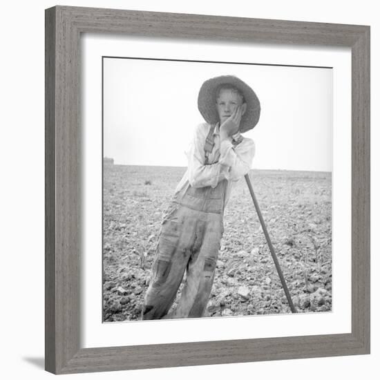 Poor white, North Carolina, 1936-Dorothea Lange-Framed Photographic Print