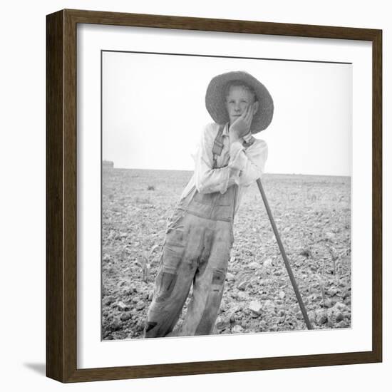 Poor white, North Carolina, 1936-Dorothea Lange-Framed Photographic Print