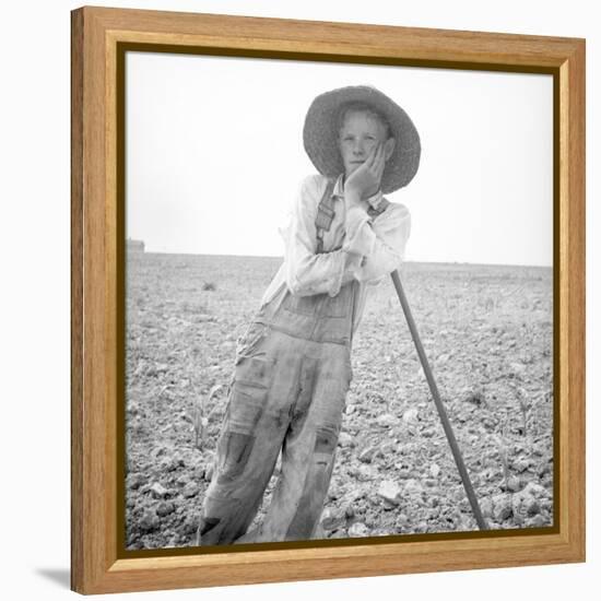 Poor white, North Carolina, 1936-Dorothea Lange-Framed Premier Image Canvas