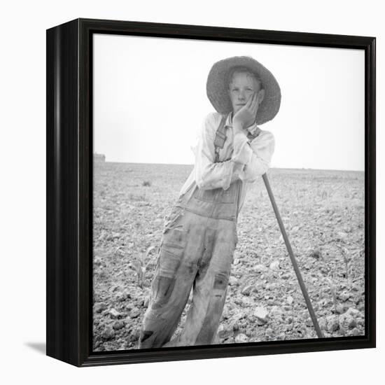 Poor white, North Carolina, 1936-Dorothea Lange-Framed Premier Image Canvas