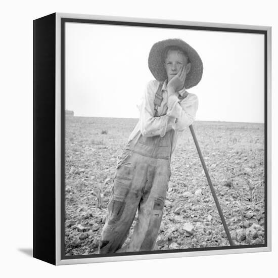 Poor white, North Carolina, 1936-Dorothea Lange-Framed Premier Image Canvas