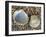 Poorly Ribbed Cockle Shells Separed to Show the Inside and the Outside, Normandy, France-Philippe Clement-Framed Photographic Print