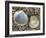 Poorly Ribbed Cockle Shells Separed to Show the Inside and the Outside, Normandy, France-Philippe Clement-Framed Photographic Print