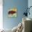 Pop Art Kiddie Car-Howie Green-Framed Premier Image Canvas displayed on a wall