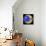 Pop Art Moon Circle-Howie Green-Giclee Print displayed on a wall