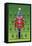 Pop Art Nutcracker-Howie Green-Framed Premier Image Canvas