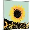 Pop Art Sunflower I-Jacob Green-Mounted Art Print