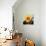 Pop Art Sunflower II-Jacob Green-Premium Giclee Print displayed on a wall