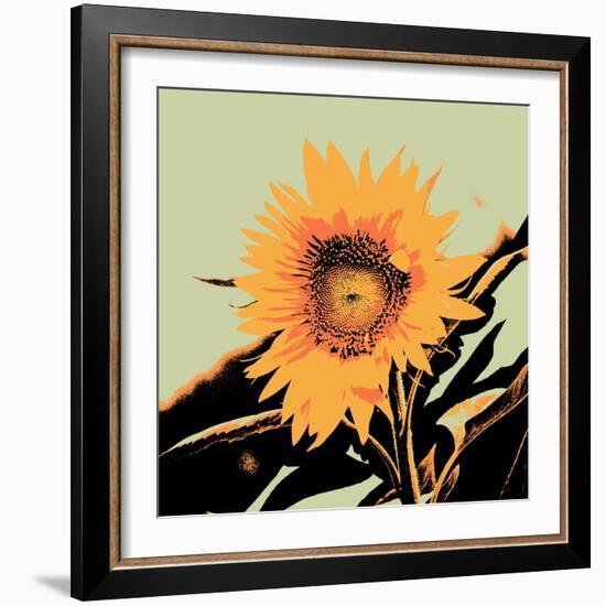 Pop Art Sunflower II-Jacob Green-Framed Art Print