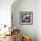 Pop Culture-Jason Jarava-Framed Giclee Print displayed on a wall