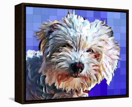 Pop Dog V-Kim Curinga-Framed Stretched Canvas