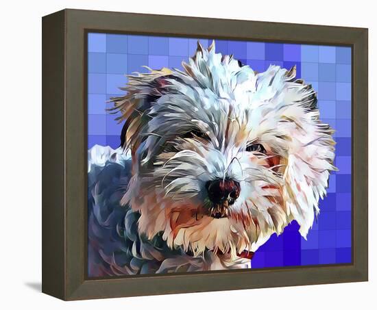 Pop Dog V-Kim Curinga-Framed Stretched Canvas