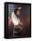 Pop Entertainer Michael Jackson Striking a Pose at Event-David Mcgough-Framed Premier Image Canvas