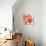Pop Hearts III-Nancy Slocum-Premium Giclee Print displayed on a wall