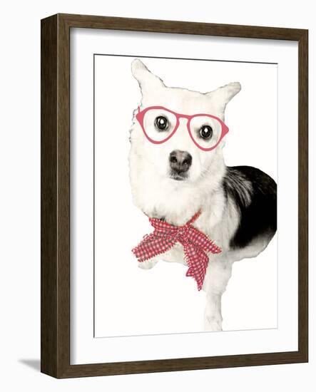 Pop Of Flair-Sd Graphics Studio-Framed Photographic Print