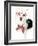 Pop Of Flair-Sd Graphics Studio-Framed Photographic Print