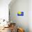 Pop Straws Collection - Blue & Yellow-Philippe Hugonnard-Mounted Photographic Print displayed on a wall