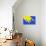 Pop Straws Collection - Blue & Yellow-Philippe Hugonnard-Photographic Print displayed on a wall