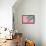 Pop Straws Collection - Light Pink & Colourful-Philippe Hugonnard-Framed Premier Image Canvas displayed on a wall