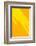 Pop Straws Collection - Orange & Yellow III-Philippe Hugonnard-Framed Photographic Print