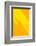 Pop Straws Collection - Orange & Yellow III-Philippe Hugonnard-Framed Photographic Print