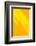 Pop Straws Collection - Orange & Yellow III-Philippe Hugonnard-Framed Photographic Print