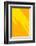 Pop Straws Collection - Orange & Yellow III-Philippe Hugonnard-Framed Photographic Print