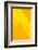 Pop Straws Collection - Orange & Yellow III-Philippe Hugonnard-Framed Photographic Print