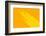 Pop Straws Collection - Orange & Yellow-Philippe Hugonnard-Framed Photographic Print