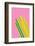 Pop Straws Collection - Pink & Colourful-Philippe Hugonnard-Framed Photographic Print