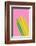 Pop Straws Collection - Pink & Colourful-Philippe Hugonnard-Framed Photographic Print