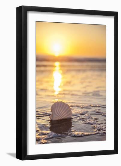 Pop The Bubbly-Chris Moyer-Framed Photographic Print