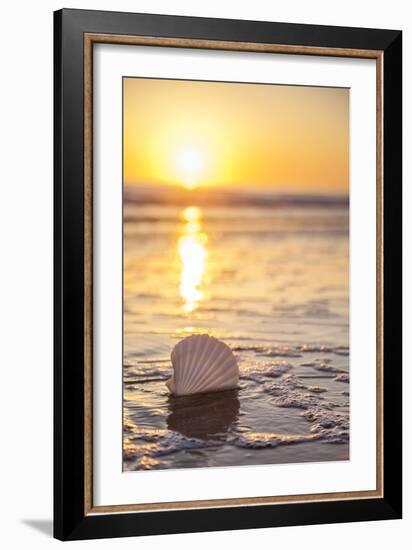 Pop The Bubbly-Chris Moyer-Framed Photographic Print