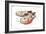 Pop-HR-FM-Framed Premium Giclee Print