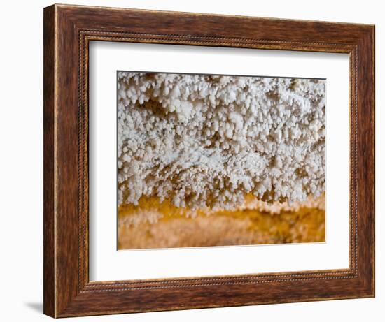 Popcorn Cave Formations-Scott T. Smith-Framed Photographic Print
