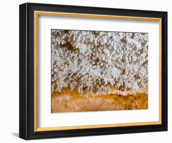 Popcorn Cave Formations-Scott T. Smith-Framed Photographic Print