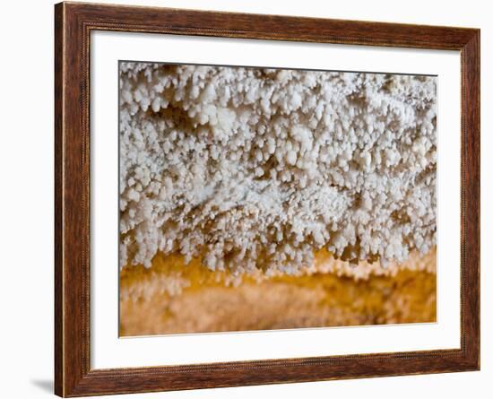 Popcorn Cave Formations-Scott T. Smith-Framed Photographic Print