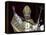 Pope Benedict XVI Waves to Pilgrims and Faithful fromSt. Peter's Basilica at the Vatican-null-Framed Premier Image Canvas