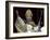 Pope Benedict XVI Waves to Pilgrims and Faithful fromSt. Peter's Basilica at the Vatican-null-Framed Photographic Print
