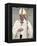 Pope Francis-null-Framed Stretched Canvas