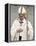 Pope Francis-null-Framed Stretched Canvas