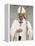 Pope Francis-null-Framed Stretched Canvas