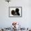 Pope John Paul II and South African President Nelson Mandela-null-Framed Photographic Print displayed on a wall