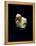 Pope John Paul II Reading a Prayer-null-Framed Premier Image Canvas