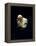 Pope John Paul II Reading a Prayer-null-Framed Premier Image Canvas