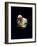 Pope John Paul II Reading a Prayer-null-Framed Photographic Print