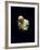 Pope John Paul II Reading a Prayer-null-Framed Photographic Print