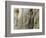 Pope John Paul II Rests His Hand on the Western Wall-null-Framed Photographic Print